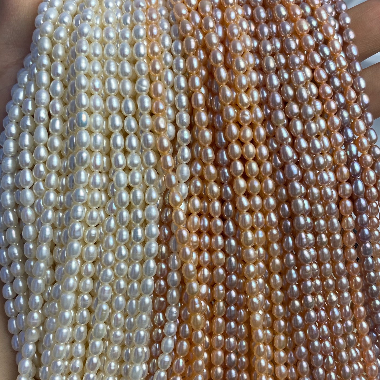 5A Fresh Water Pearls ,One String [5MM]