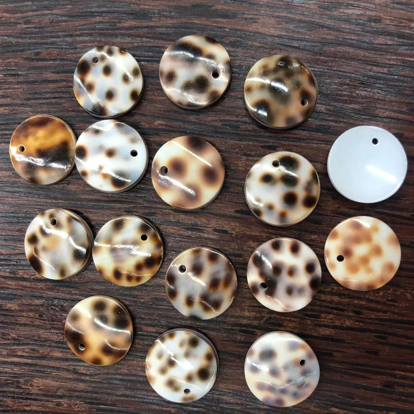 Tiger Shell DIY Jewelry Mosaic Accessories 5pcs